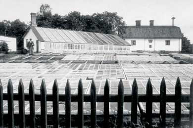 14- Tr&auml;dg&aring;rden