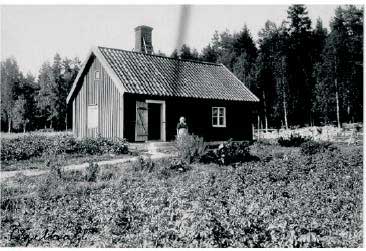 25 - F&aring;gelh&auml;ll