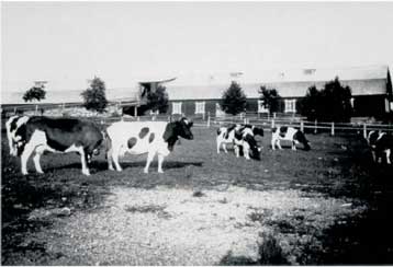 9 - Ladug&aring;rd